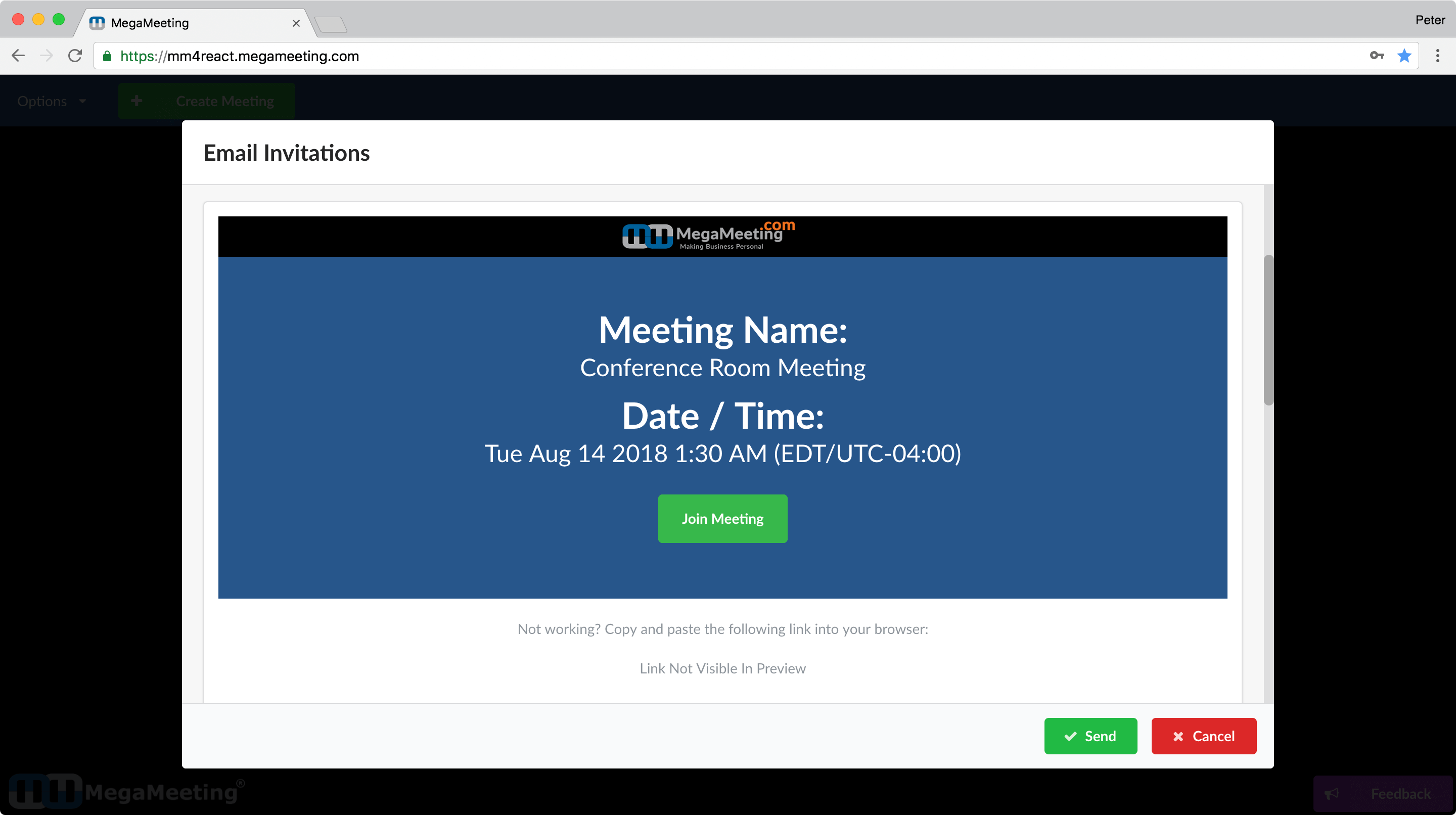 MegaMeeting Video Conferencing User Guide