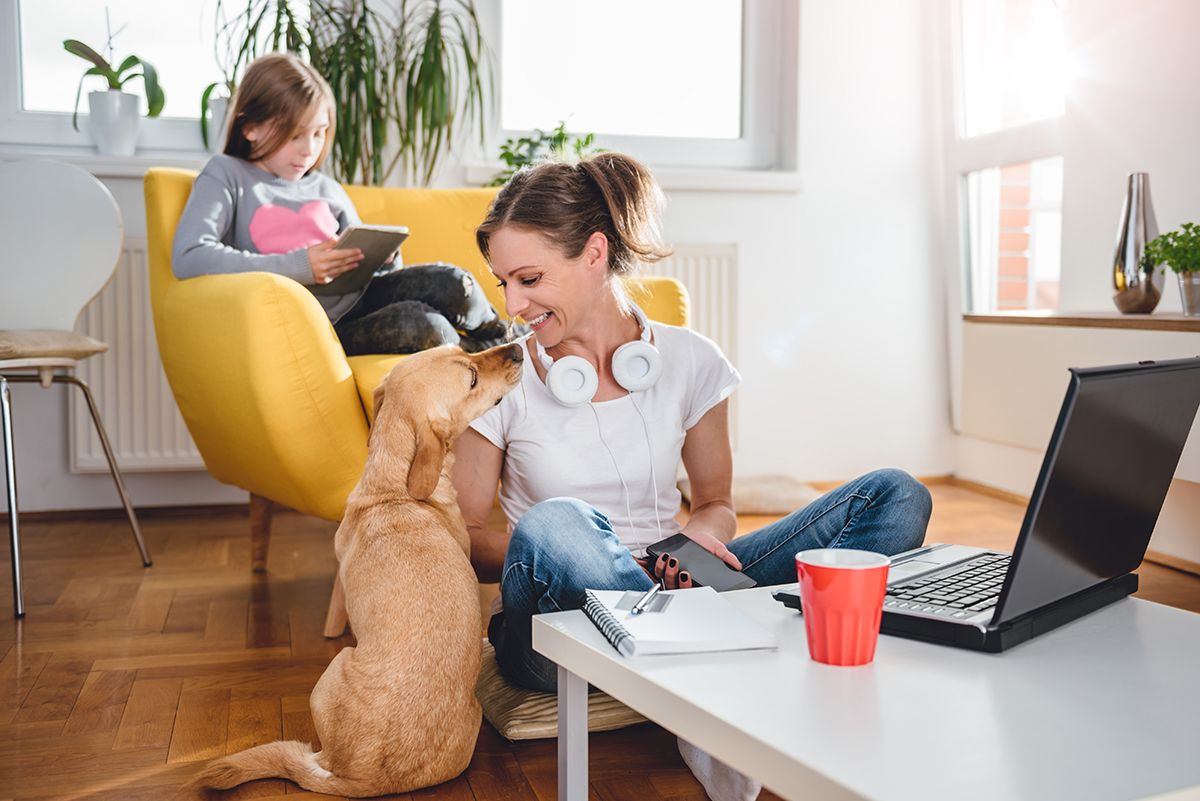 Web-based screen sharing can keep you productive while working from home. Pets and kids notwithstanding.