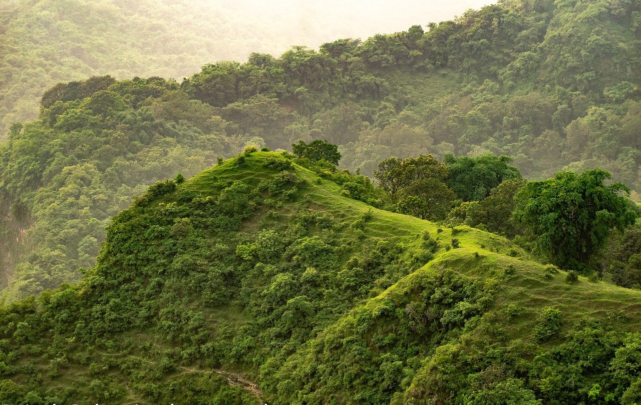 Using less energy and keeping video conferences green is better for everyone's environment.